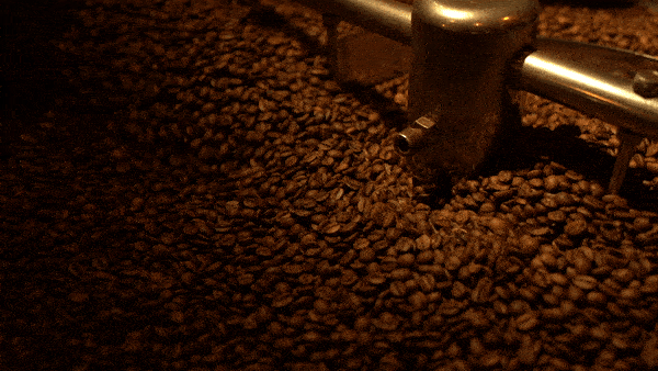 Coffee shop background